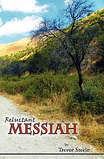 confessions of a reluctant messiah